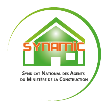 Logo SYNAMIC